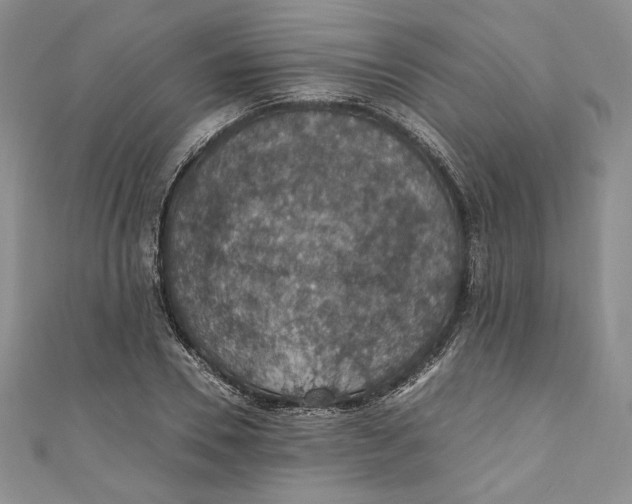 X0000110890930200907091351