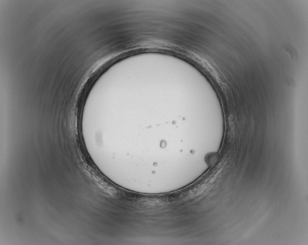 X0000110890931200907091351