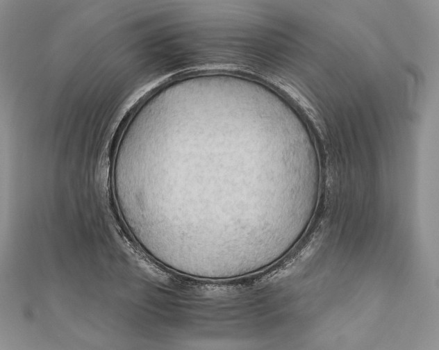 X0000110890933200907091351