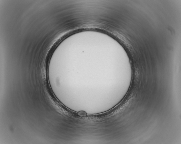 X0000110890934200907091351