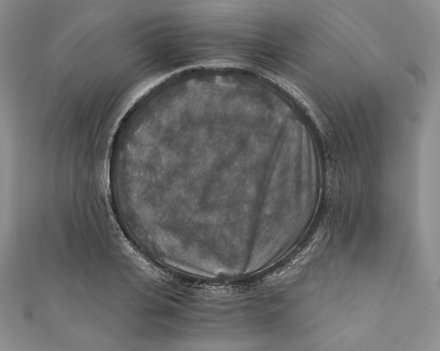 X0000110890935200907091351