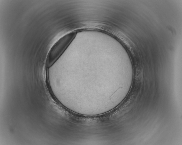 X0000110890936200907091351