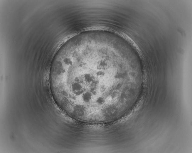 X0000110890937200907091351