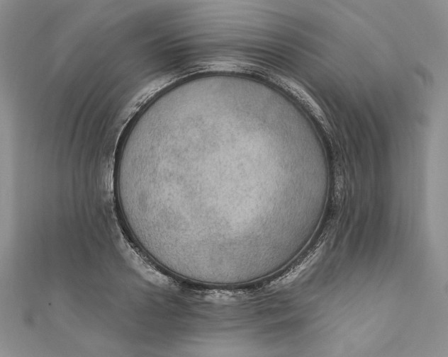 X0000110890938200907091351