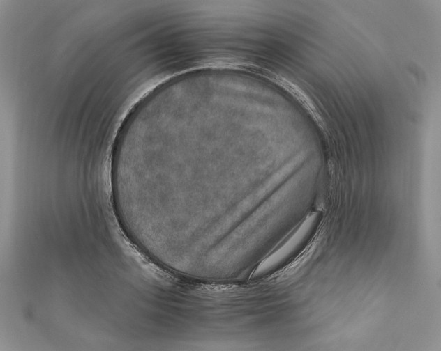 X0000110890939200907091351