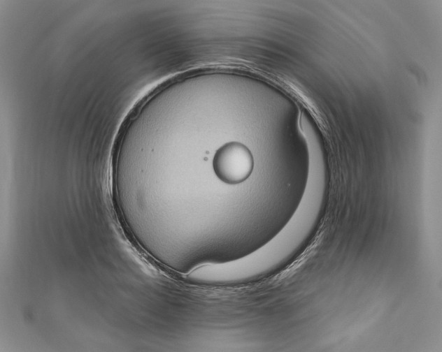 X0000110890940200907091351