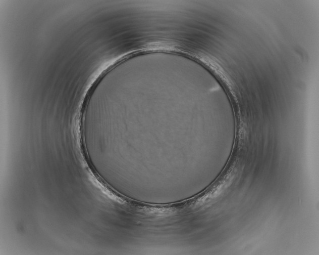 X0000110890941200907091351