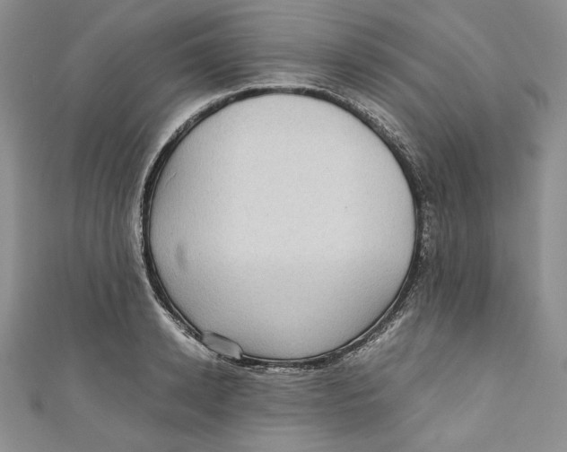 X0000110890942200907091351