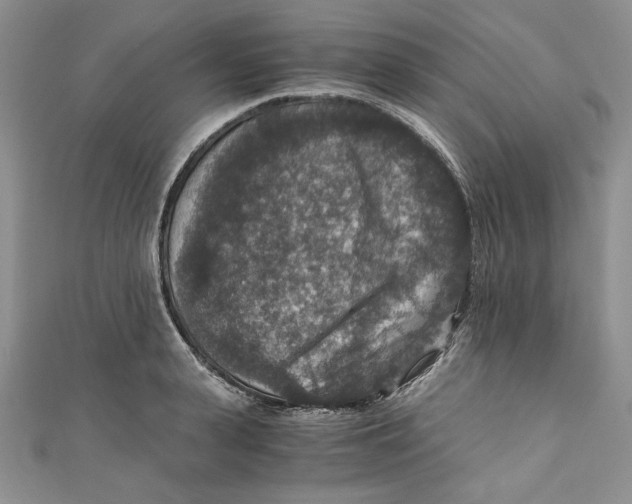 X0000110890943200907091351