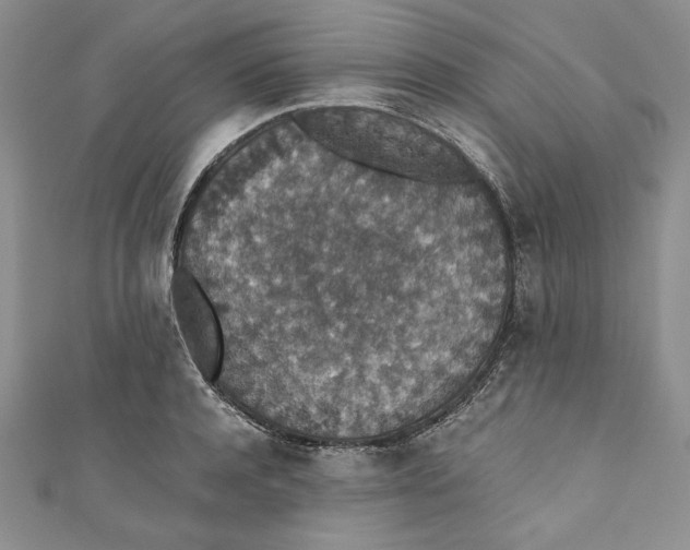 X0000110890944200907091351