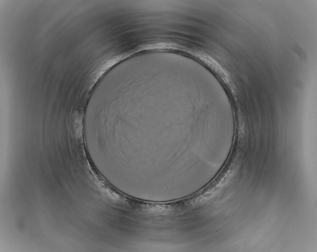 X0000110890945200907091351