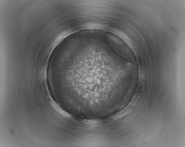 X0000110890946200907091351