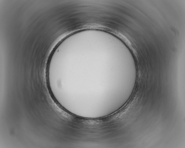 X0000110890947200907091351