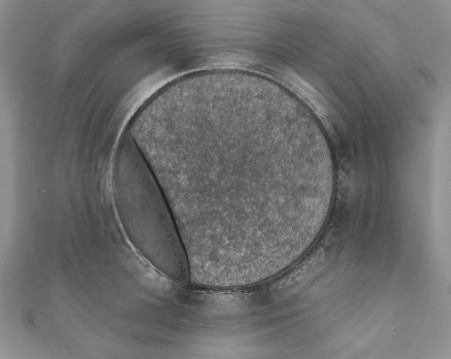 X0000110890948200907091351