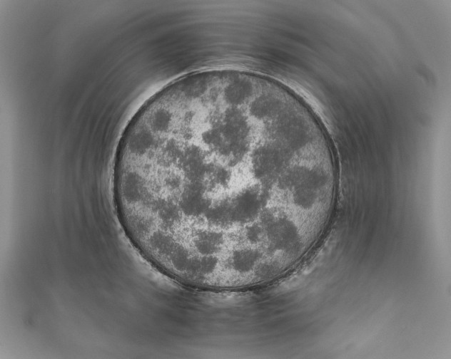 X0000110890949200907091351