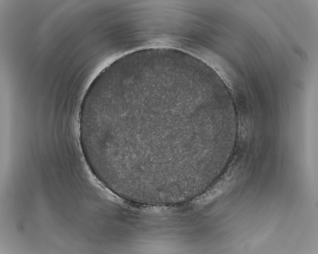 X0000110890950200907091351