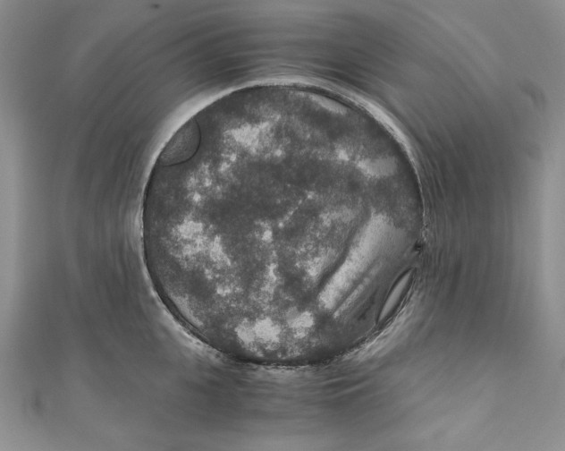 X0000110890951200907091351