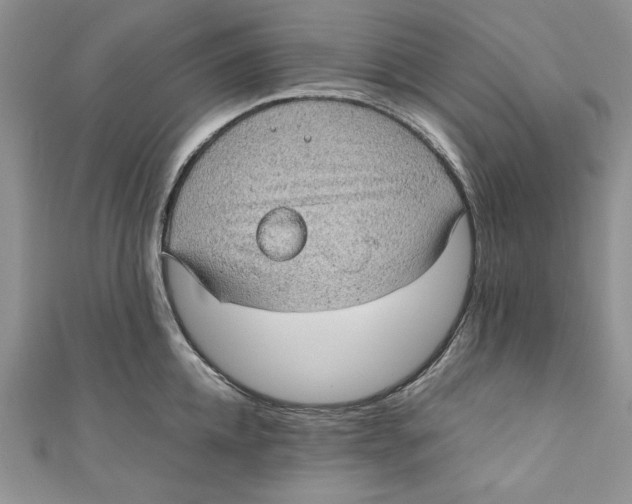 X0000110890952200907091351