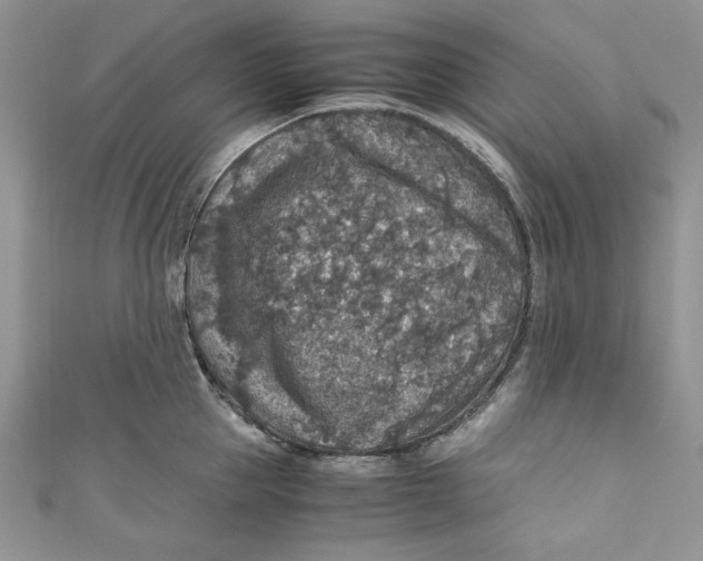 X0000110890953200907091351