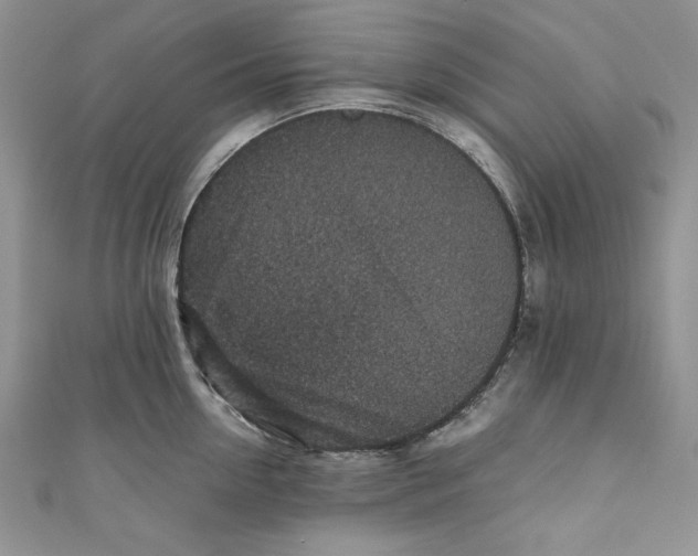 X0000110890954200907091351