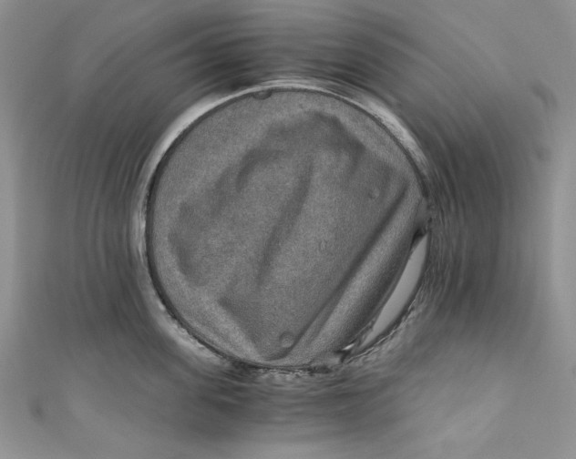 X0000110890955200907091351