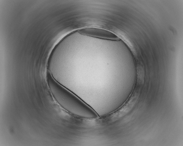 X0000110890956200907091351