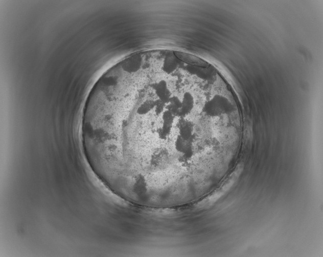 X0000110890957200907091351