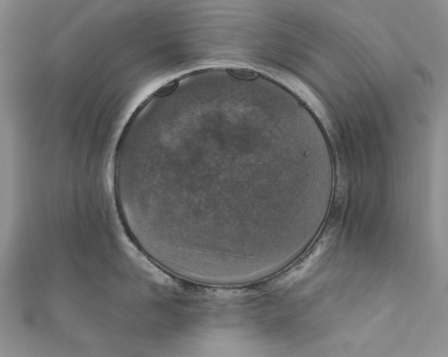 X0000110890958200907091351