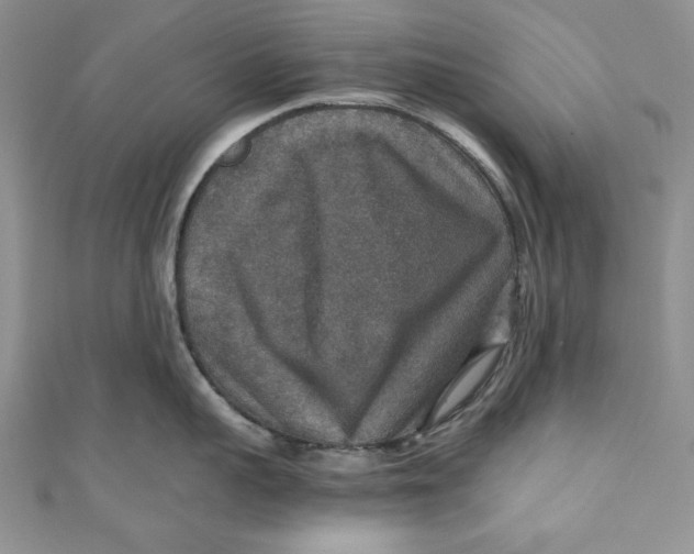 X0000110890959200907091351