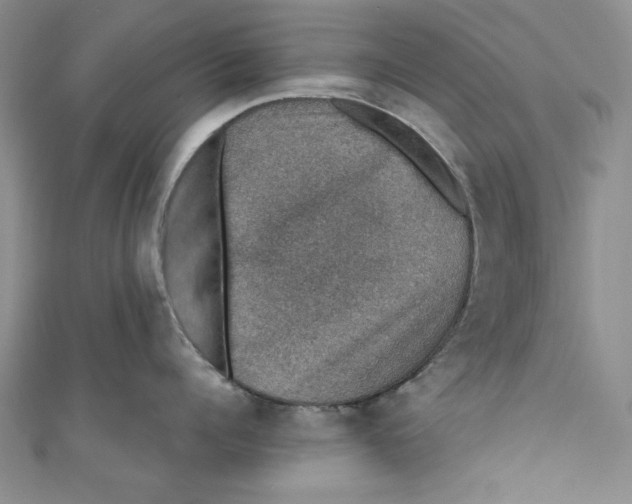 X0000110890960200907091351