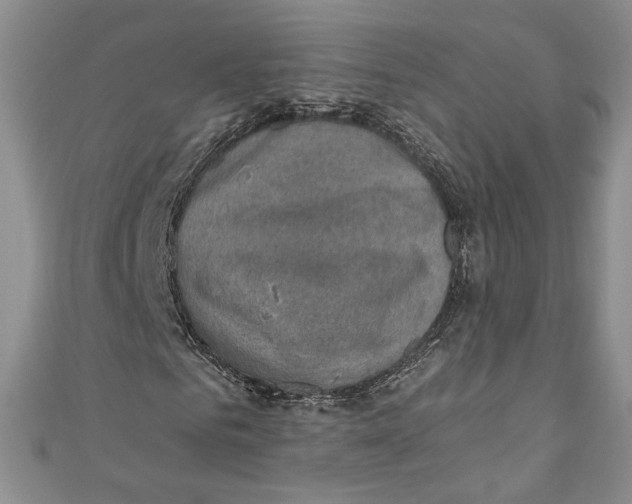 X0000110890961200907091350