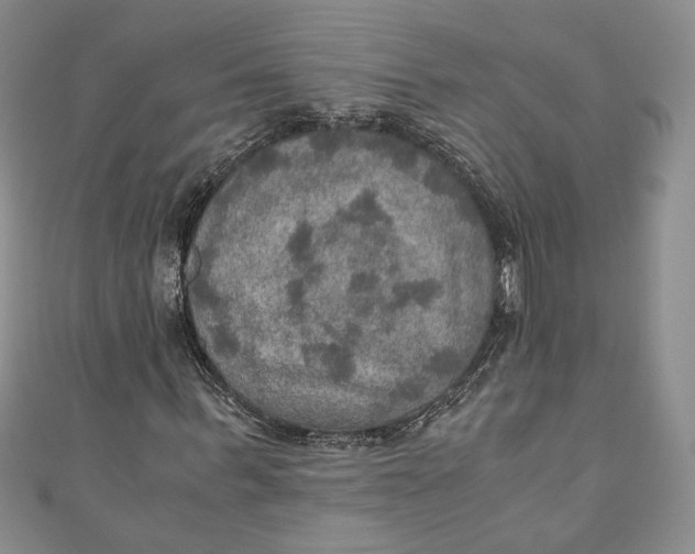 X0000110890963200907091350