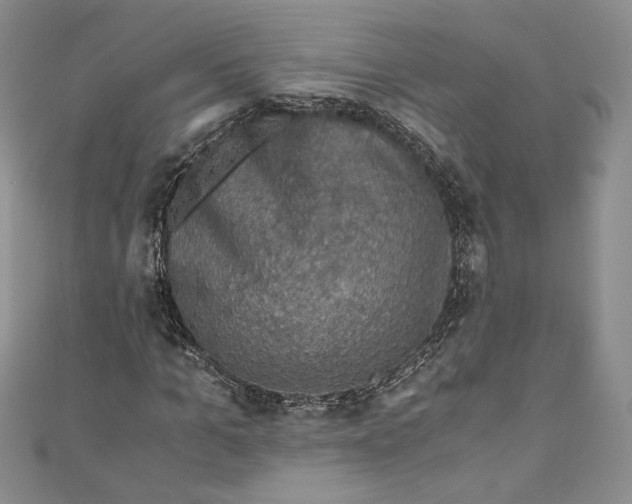 X0000110890965200907091350