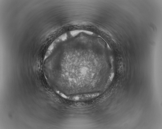 X0000110890966200907091350