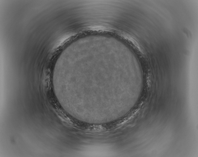 X0000110890968200907091350