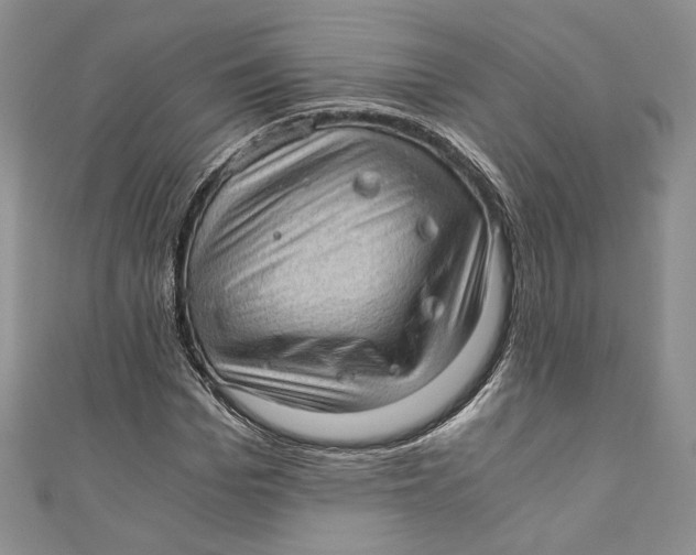 X0000110890969200907091350