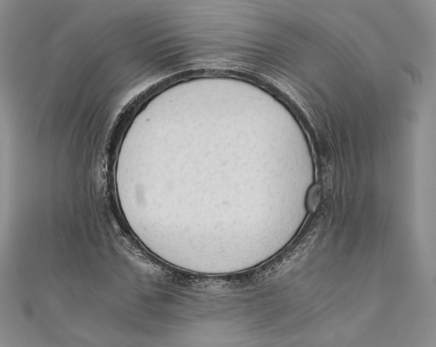 X0000110890971200907091350