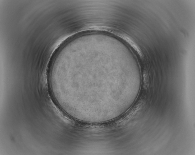 X0000110890972200907091350