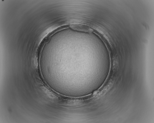 X0000110890973200907091350