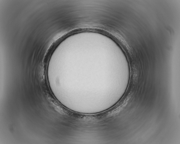 X0000110890974200907091350