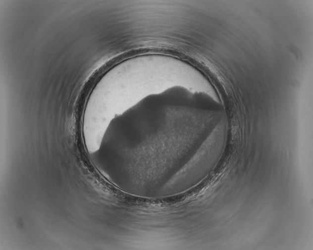 X0000110890975200907091350