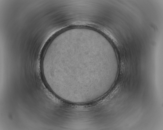 X0000110890976200907091350