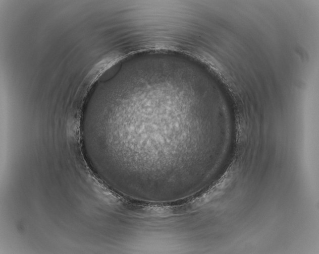 X0000110890977200907091350