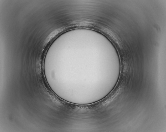 X0000110890978200907091350