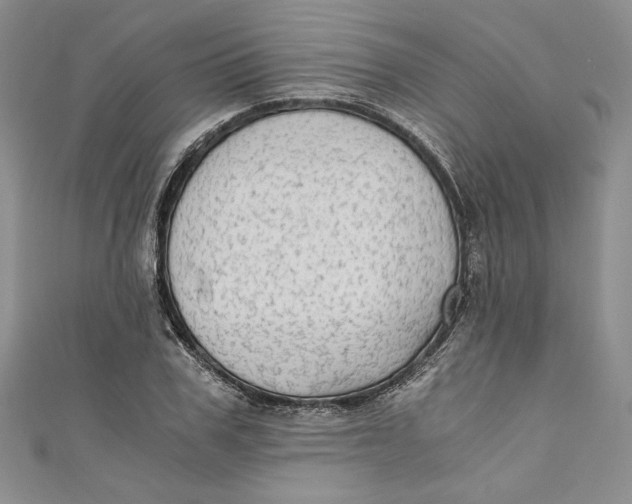 X0000110890979200907091350