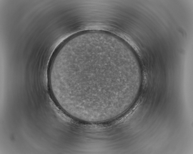 X0000110890980200907091350