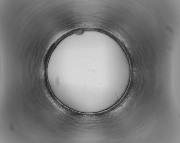 X0000110890981200907091350