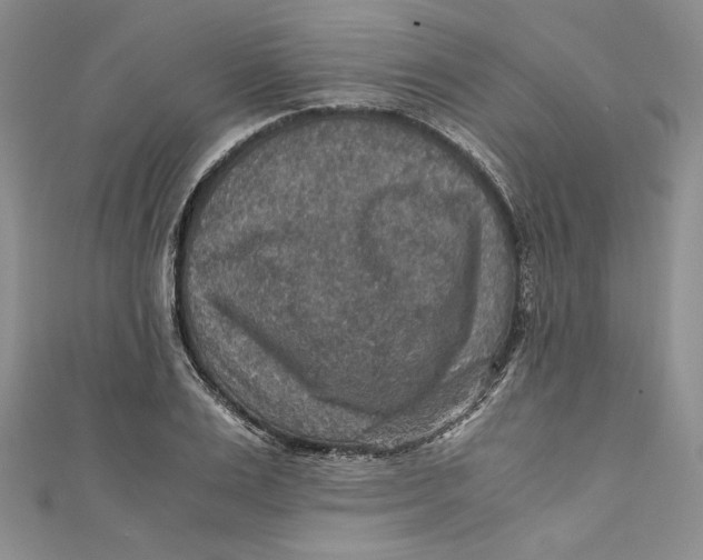 X0000110890983200907091350