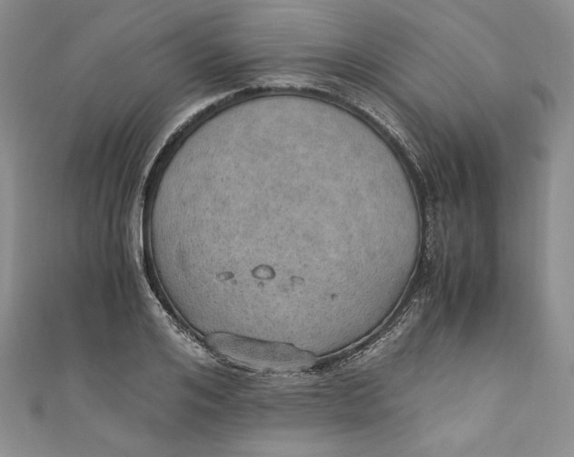 X0000110890984200907091350