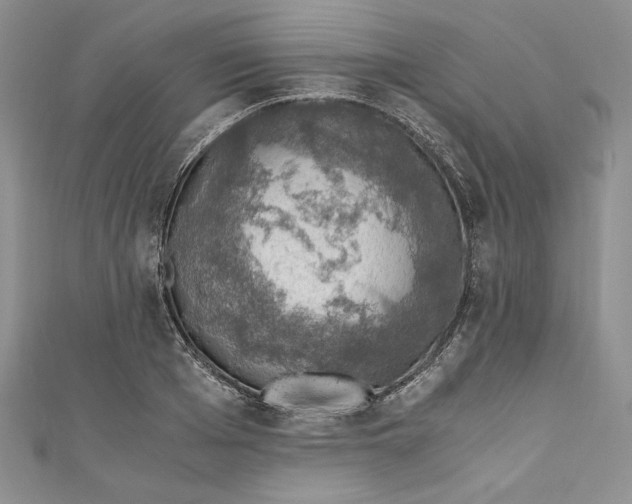 X0000110890985200907091350